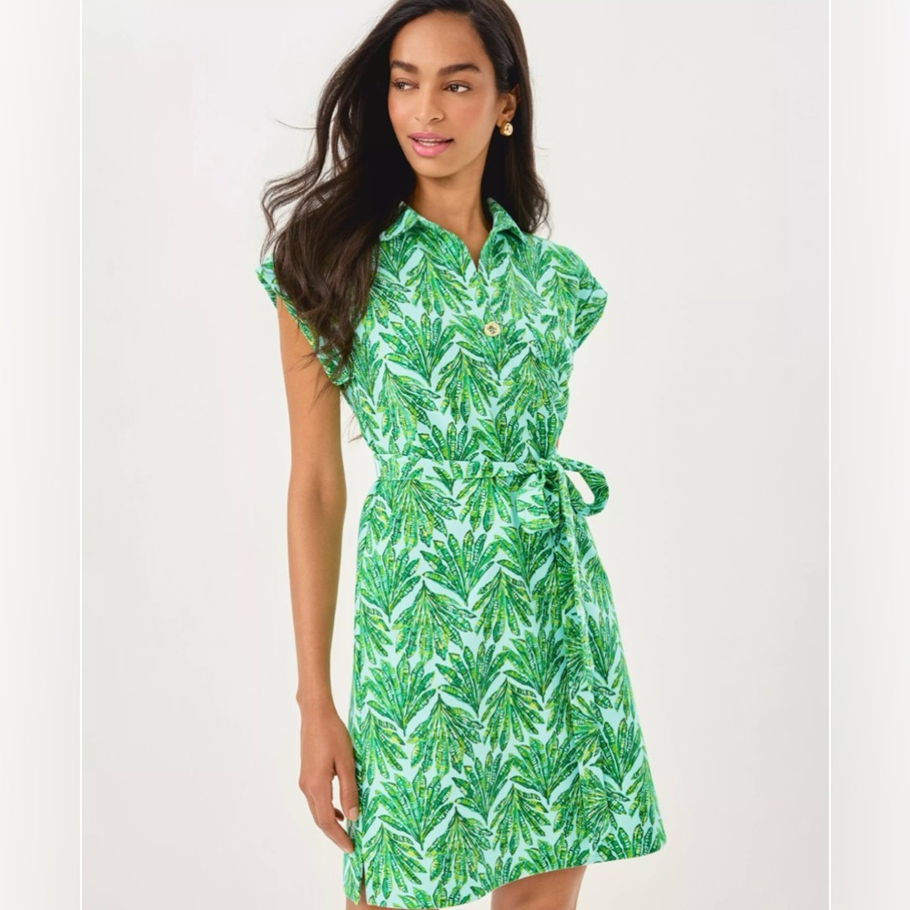 NWT Lilly Pulitzer Emersyn Dress - Size XS - Kitts Green Crossgrain Shady Babe